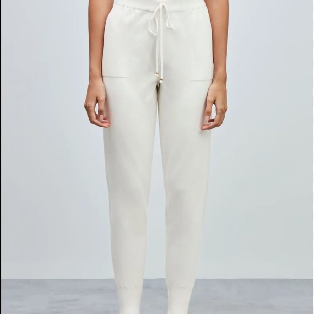 Zara High Waisted Pants
